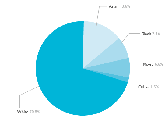 Pie chart showing the ethnic diversity of 16 to 18 learners