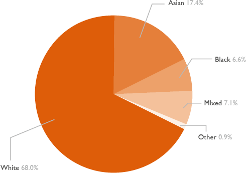 Pie chart showing the ethnic diversity of A level learners