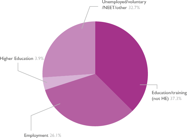 Pie chart showing overall adult learners destinations