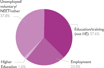 Pie chart showing level 1 adult learners destinations
