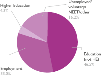 Pie chart showing level 2 adult learners destinations