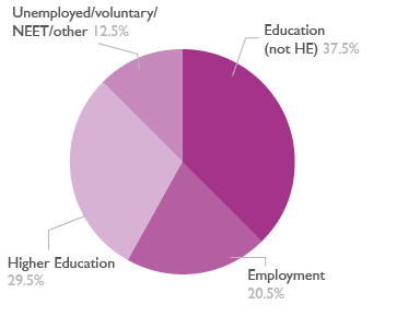 Pie chart showing level 3 adult learners destinations