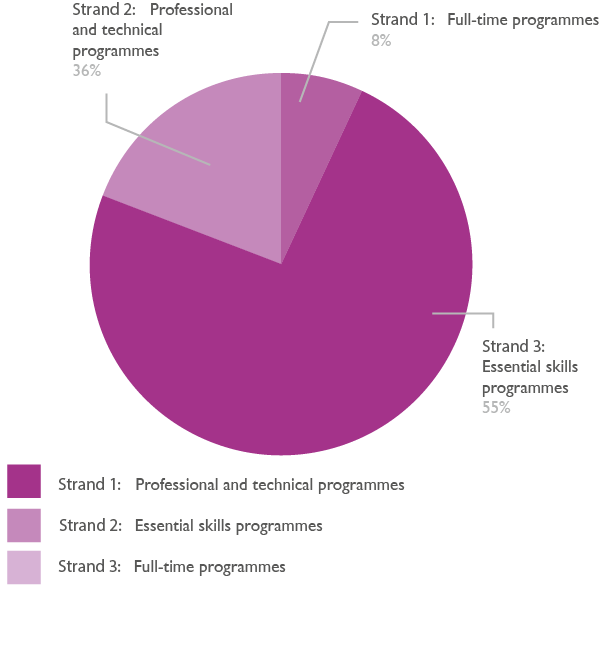 Pie chart showing adult learners split by strand