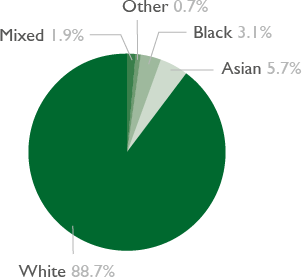 Pie chart showing the ethnic diversity of 19 plus apprentices