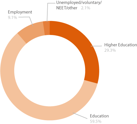 Pie chart showing all A level learner destinations
