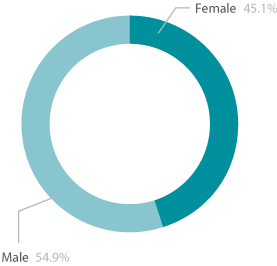 Pie chart showing the gender diversity of Higher Education learners