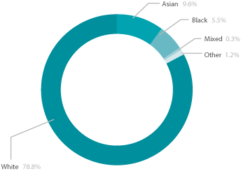 Pie chart showing the ethnic diversity of Higher Education learners