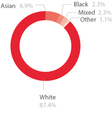 Pie chart showing the ethnic diversity of 16 to 18 apprentices