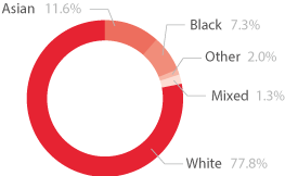 Pie chart showing the ethnic diversity of 19 plus apprentices