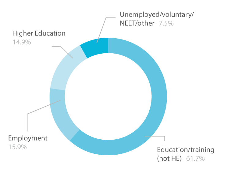 Pie chart showing all levels learner destinations