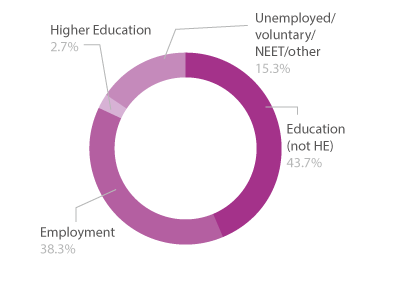 Pie chart showing level 2 adult learners destinations