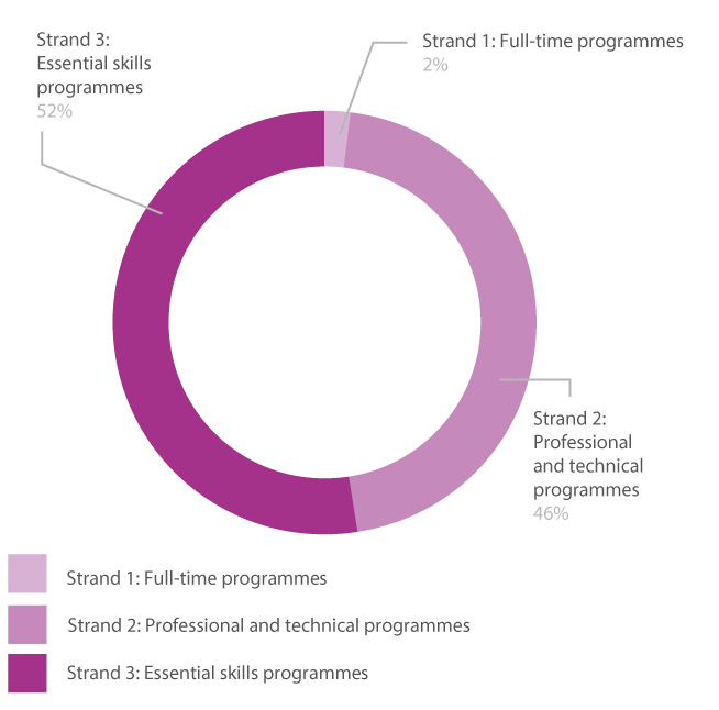 Pie chart showing adult learners split by strand