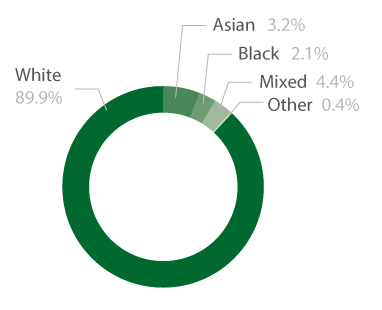 Pie chart showing the ethnic diversity of 16 to 18 apprentices