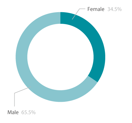 Pie chart showing the gender diversity of Higher Education learners
