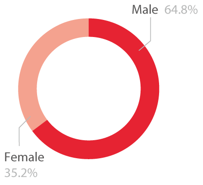 Pie chart showing the gender diversity of high needs learners
