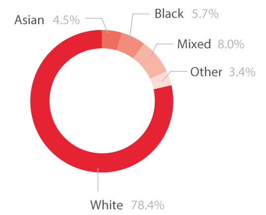 Pie chart showing the ethnic diversity of high needs learners
