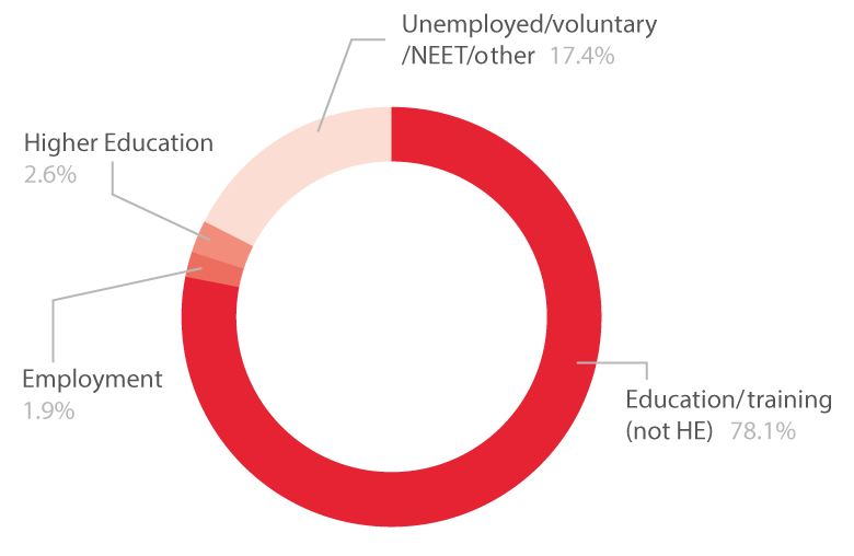 Pie chart showing high needs learners destinations, all levels