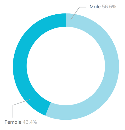 Pie chart showing the gender diversity of 16 to 18 learners