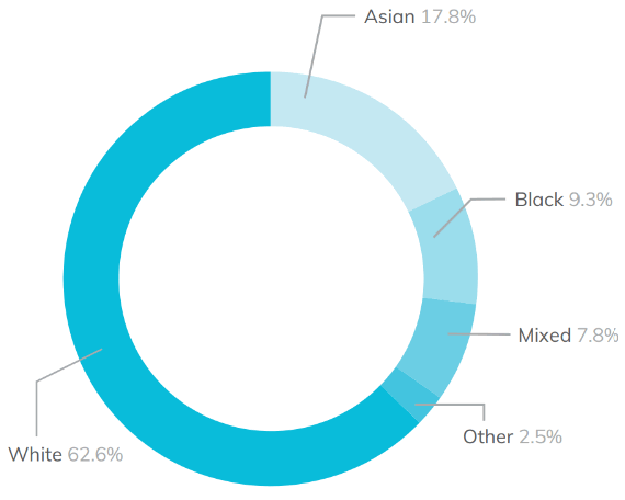 Pie chart showing the ethnic diversity of 16 to 18 learners