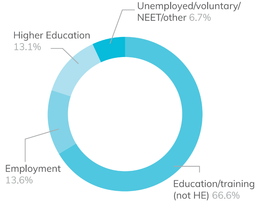 Pie chart showing all levels learner destinations