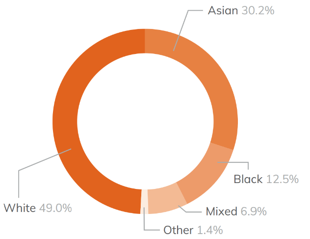 Pie chart showing the ethnic diversity of A level learners