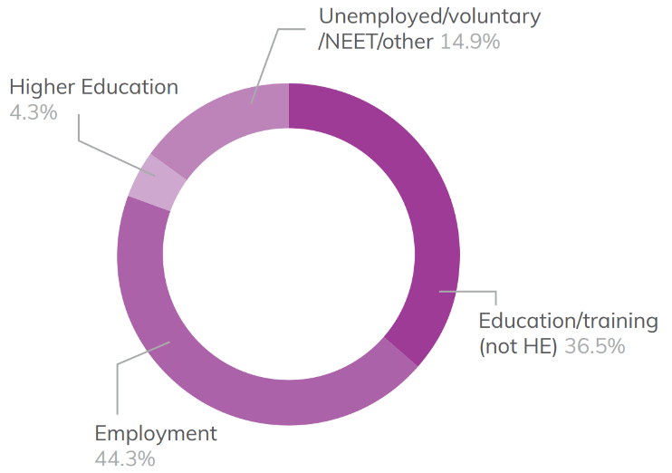 Pie chart showing overall adult learners destinations