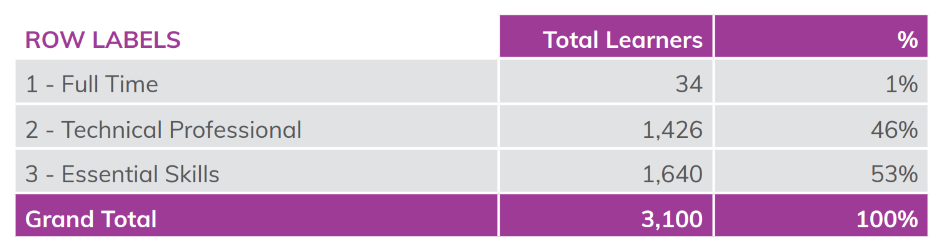 Pie chart showing adult learners split by strand