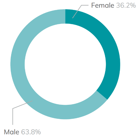 Pie chart showing the gender diversity of Higher Education learners