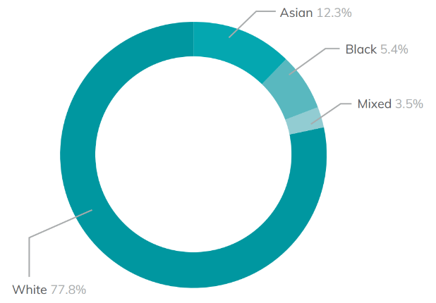 Pie chart showing the ethnic diversity of Higher Education learners