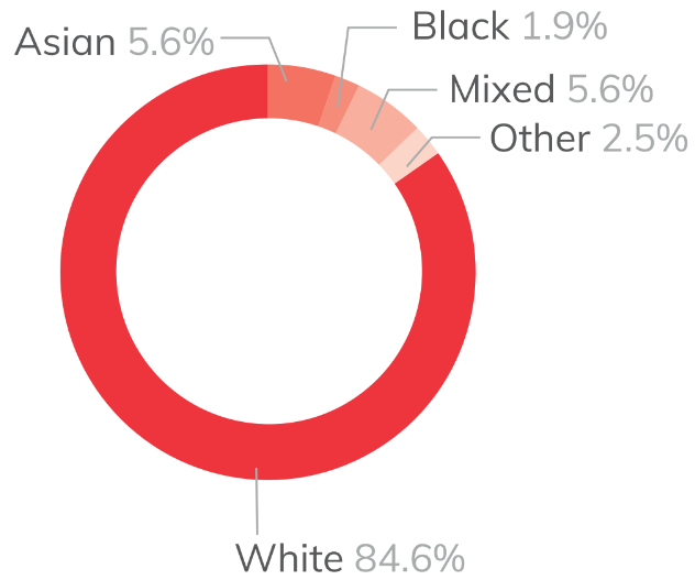 Pie chart showing the ethnic diversity of high needs learners