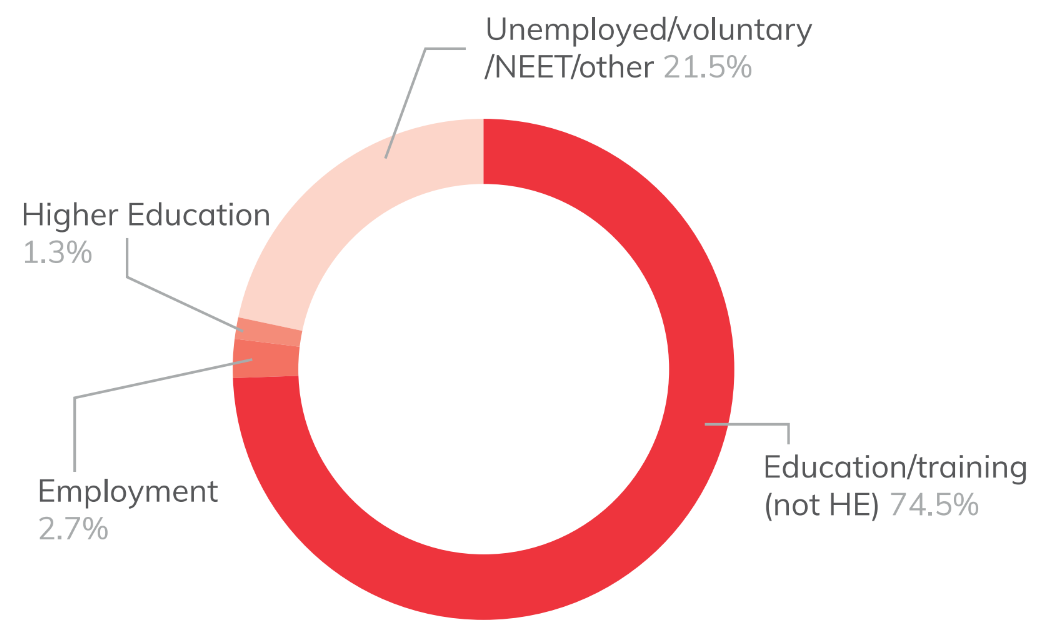 Pie chart showing high needs learners destinations, all levels