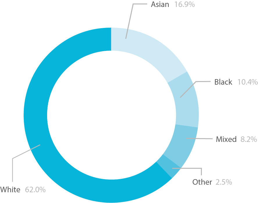 Pie chart showing the ethnic diversity of 16 to 18 learners