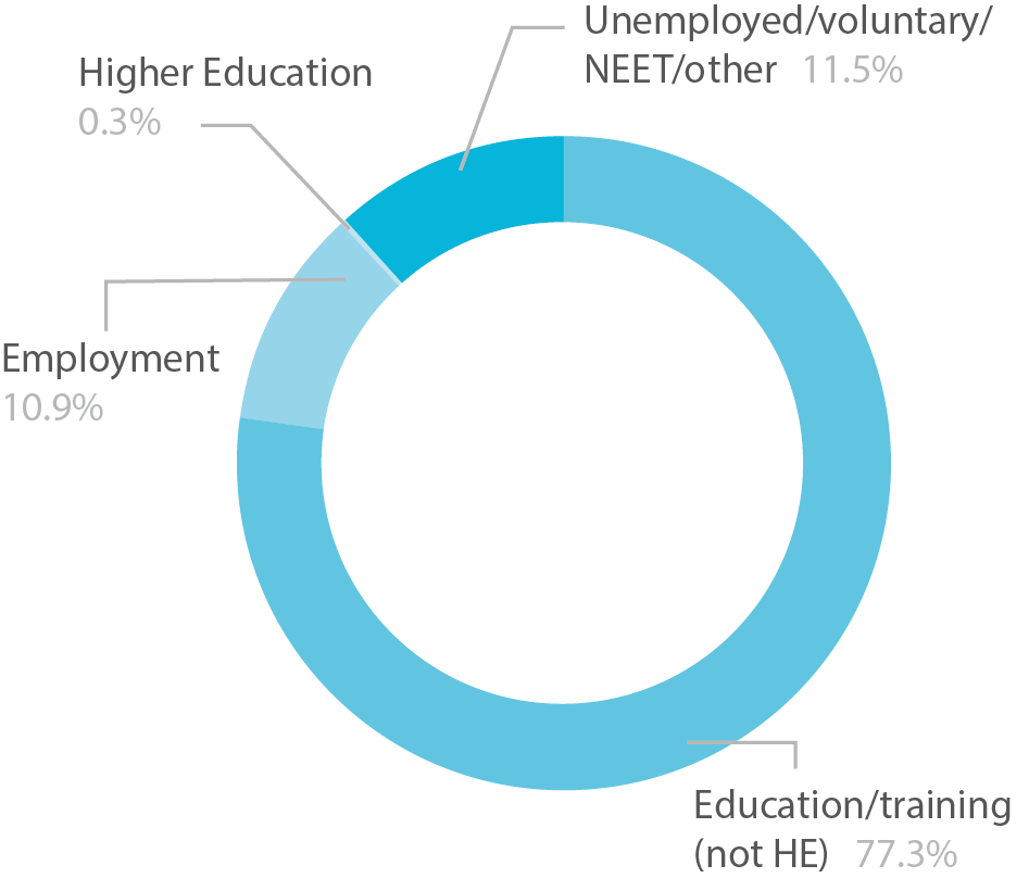 Pie chart showing level 1 learner destinations