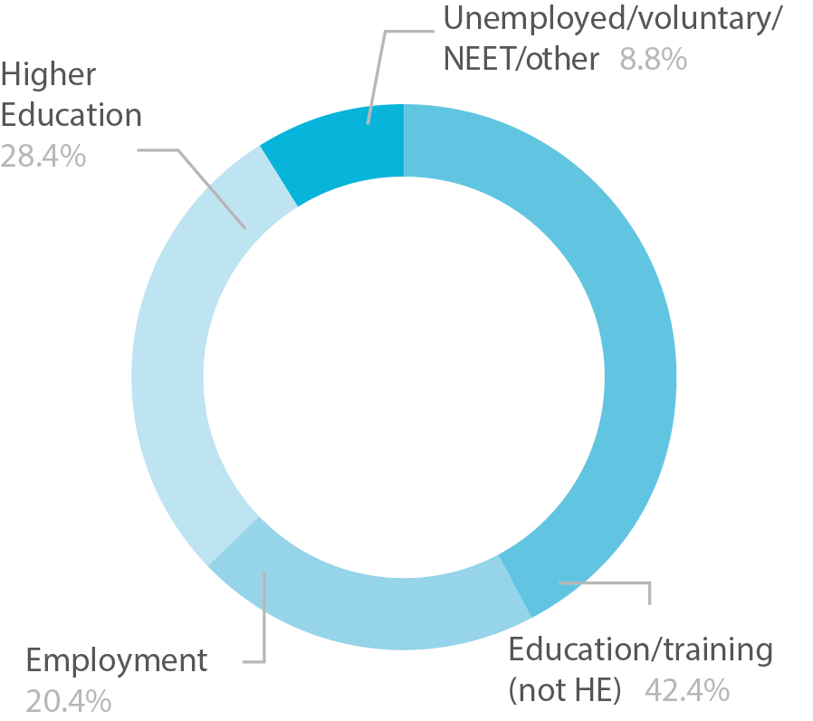 Pie chart showing level 3 learner destinations
