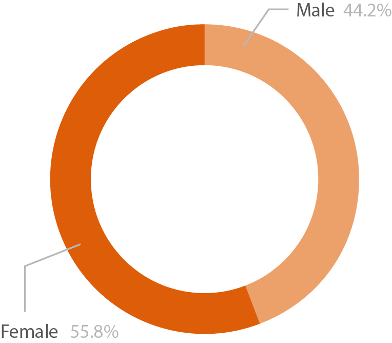 Pie chart showing the gender diversity of A level learners