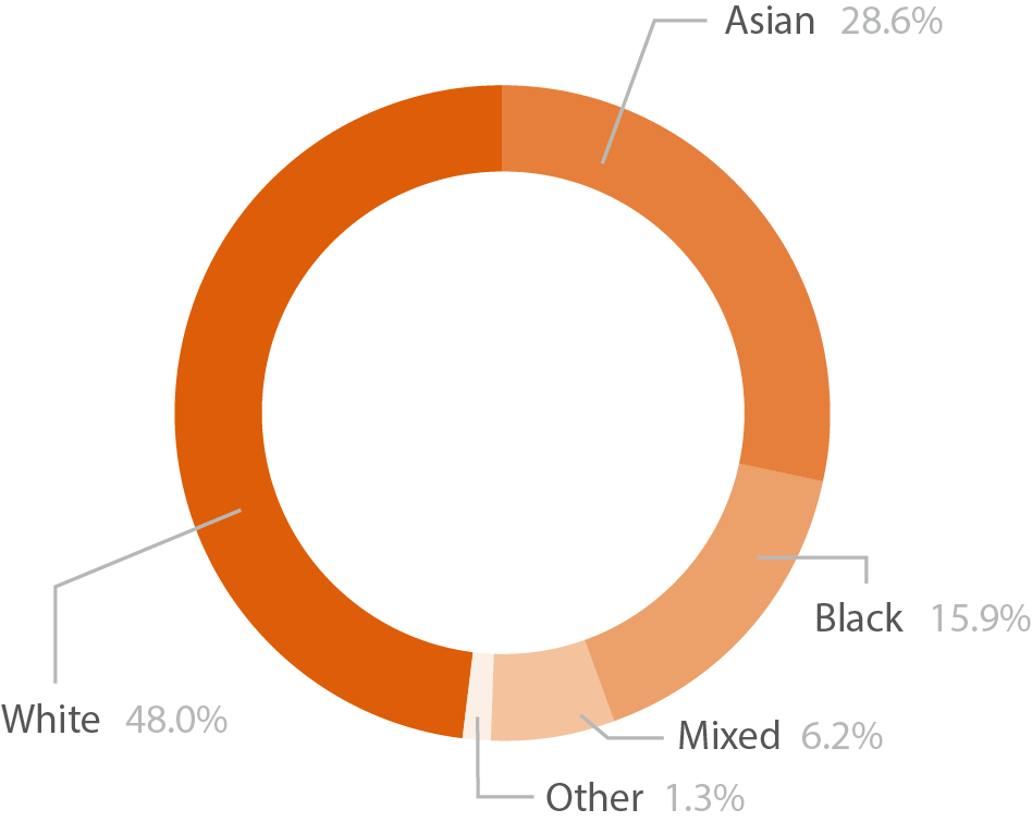 Pie chart showing the ethnic diversity of A level learners