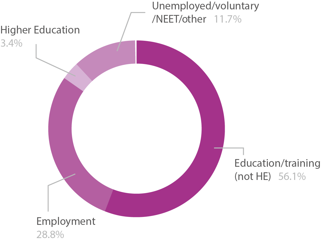 Pie chart showing overall adult learners destinations