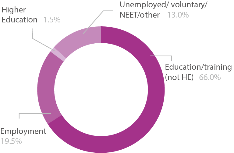 Pie chart showing level 1 adult learners destinations