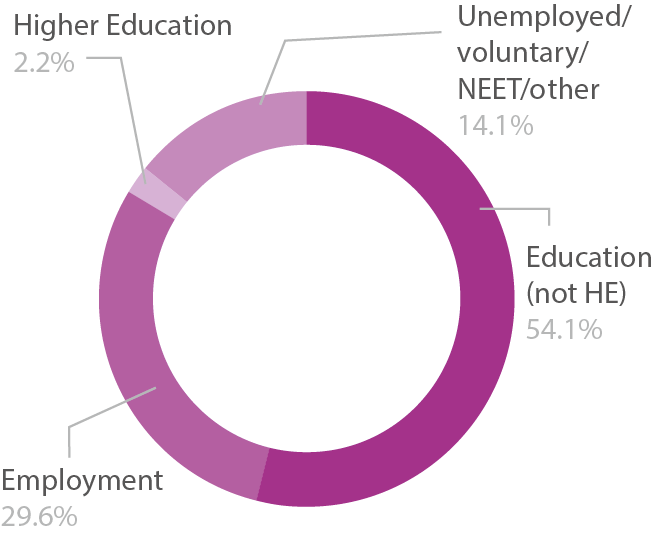 Pie chart showing level 2 adult learners destinations