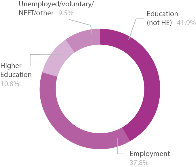 Pie chart showing level 3 adult learners destinations