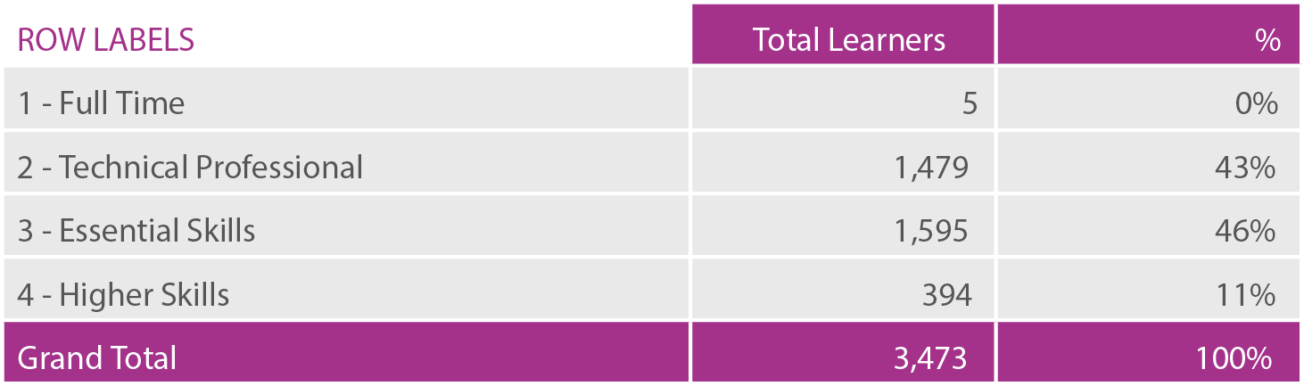 Pie chart showing adult learners split by strand