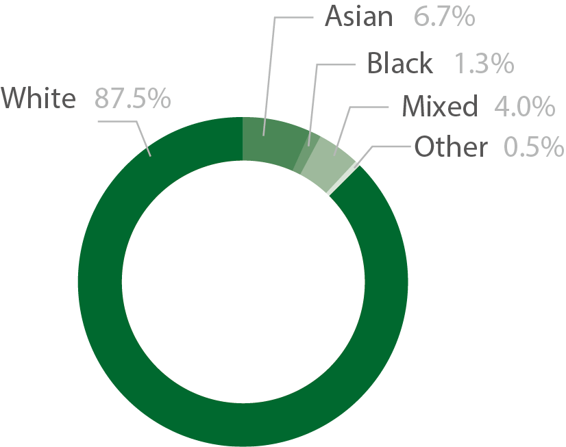 Pie chart showing the ethnic diversity of 16 to 18 apprentices