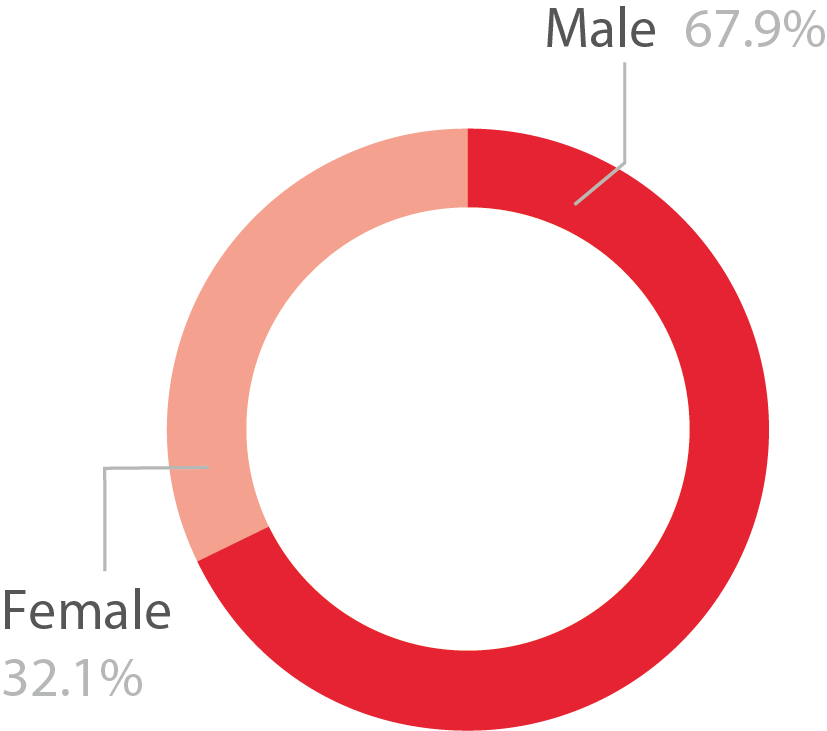Pie chart showing the gender diversity of high needs learners