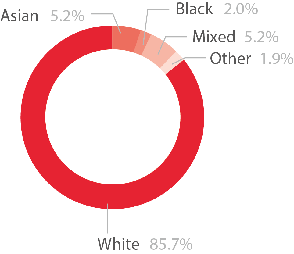 Pie chart showing the ethnic diversity of high needs learners