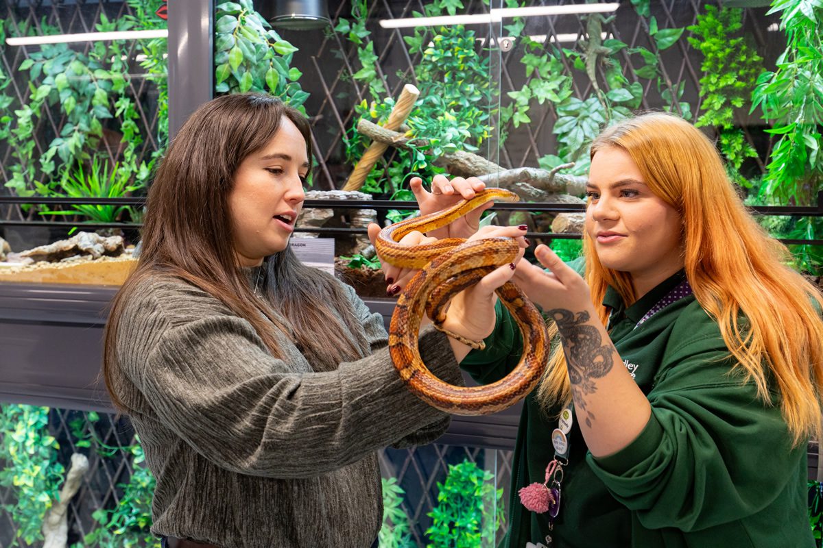 TV Presenter Meg McCubbin opens “Pawsome” new Animal Study Centre at Dudley College of Technology